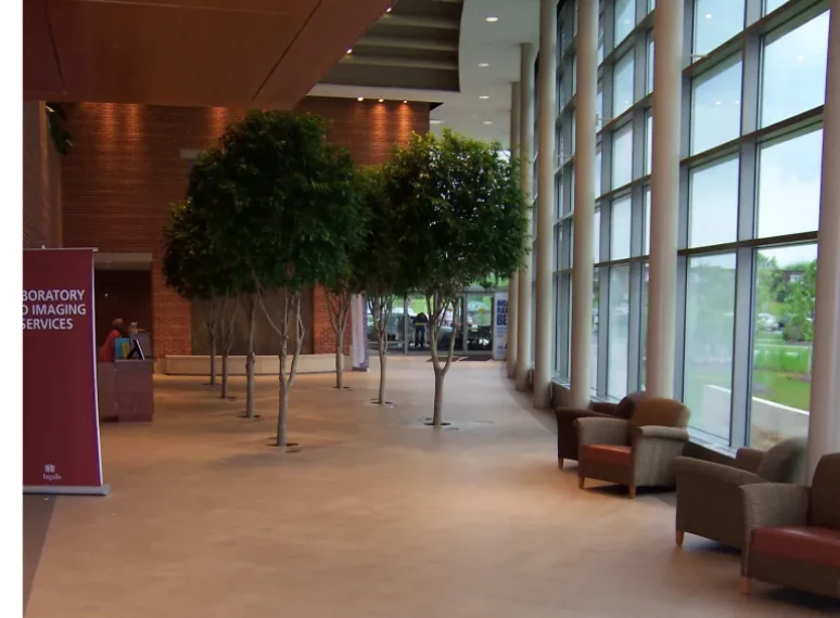 Bright lobby with large windows